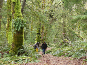 gambier island students walking