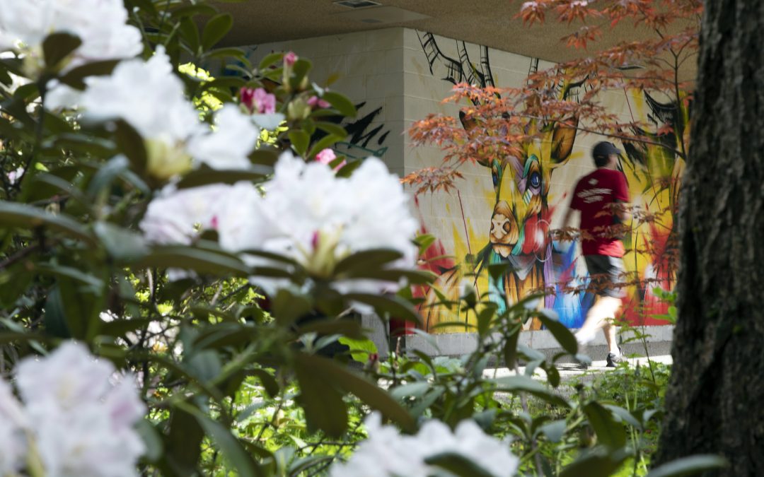 An image of flowering shrubs in front of a wall mural on the Capilano University campus.