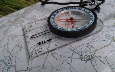 Navigating GenAI this Fall