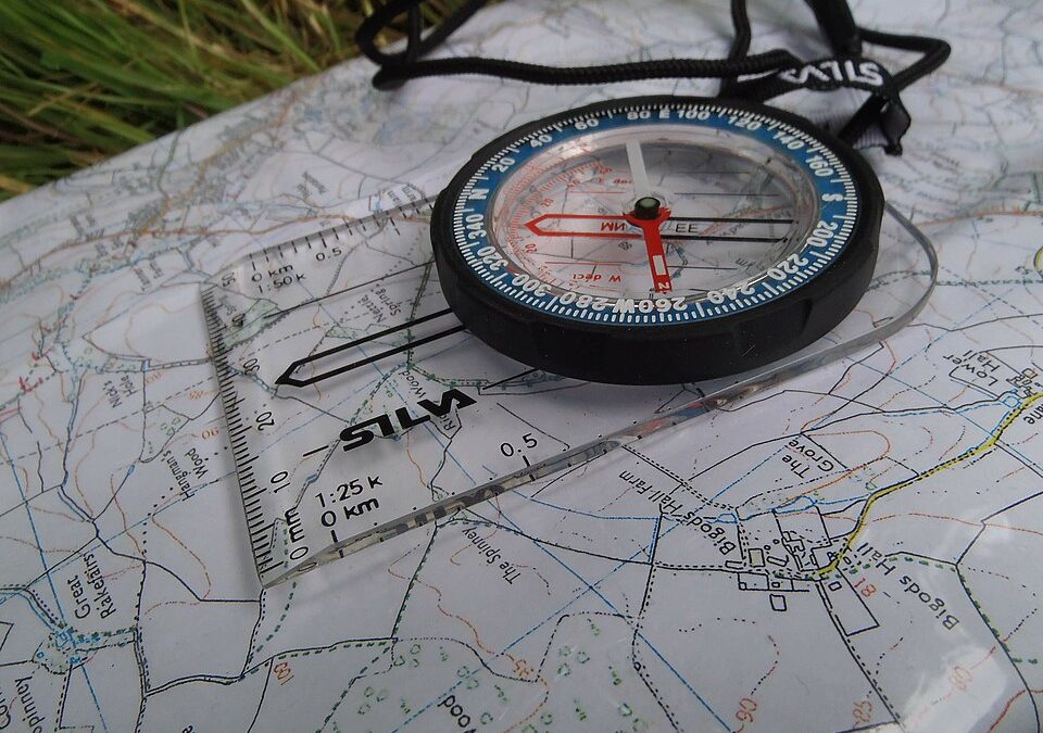 Navigating GenAI this Fall