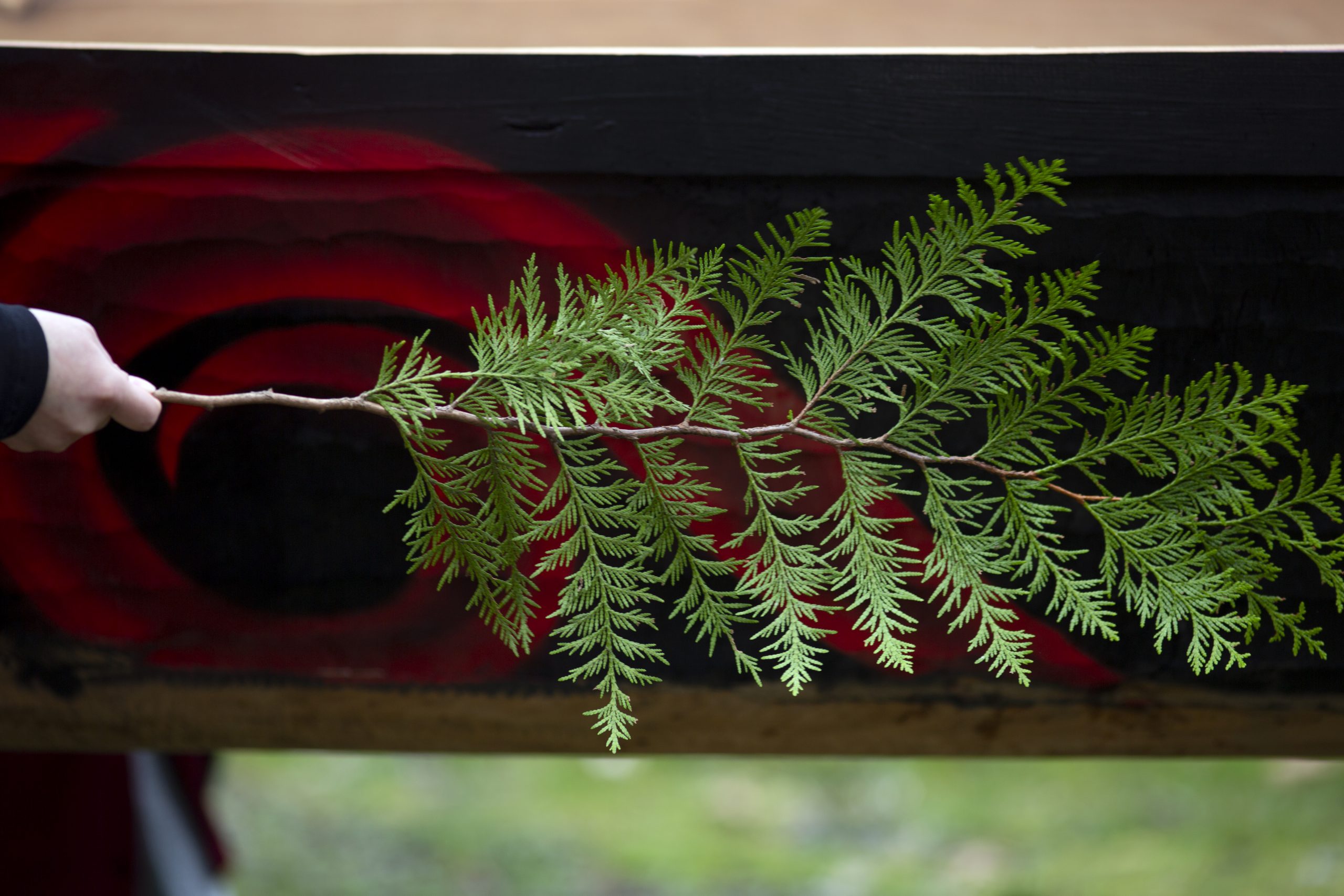 A photograph from the April 2021 Skw’cháys awakening ceremony at Capilano University. A hand holds a fresh green cedar bough against the side of Skw’cháys. Underneath the cedar bough shows a painted black and red spiral design.