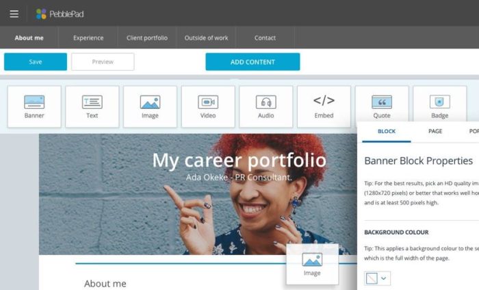 Sample PebblePad portfolio