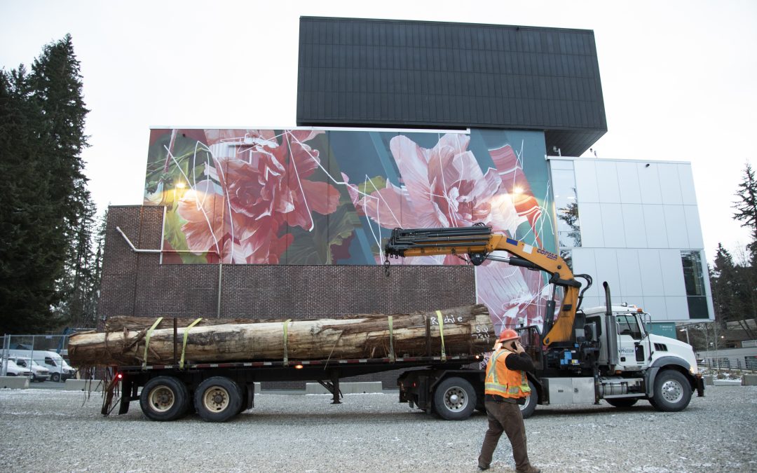 Centering Care in the Classroom with What I Learned in Class Today